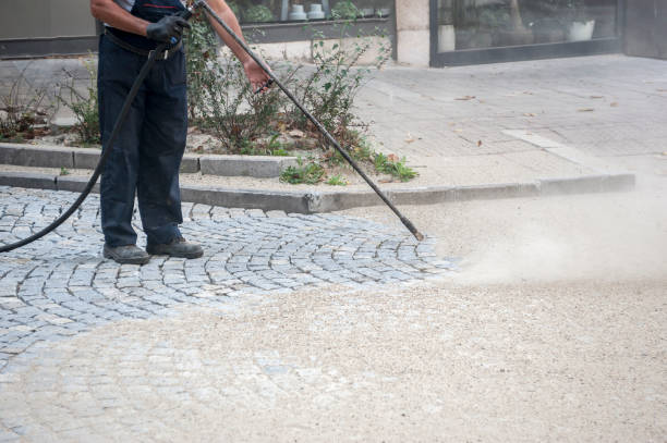 Best Graffiti Removal Services in Cactus, TX